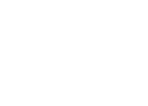 Portraits from a Fire