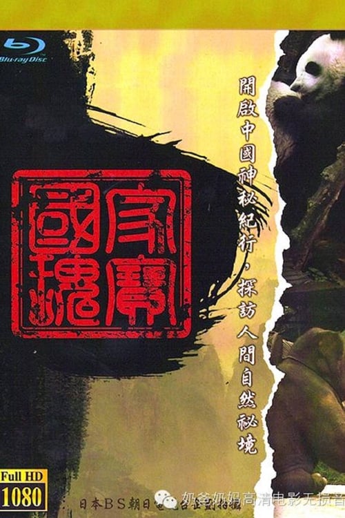 中国神秘紀行 (2008)