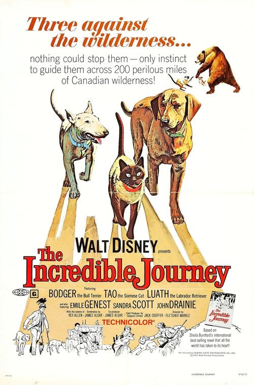 The Incredible Journey 1963