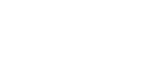 Bobi Wine : le président du peuple
