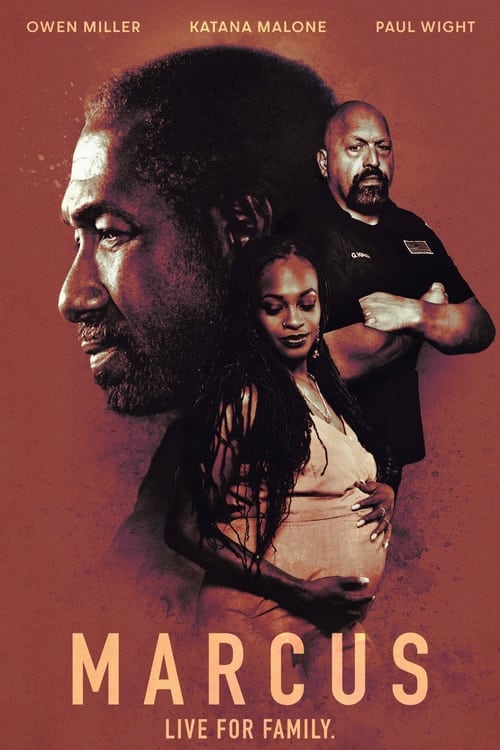 Poster 3