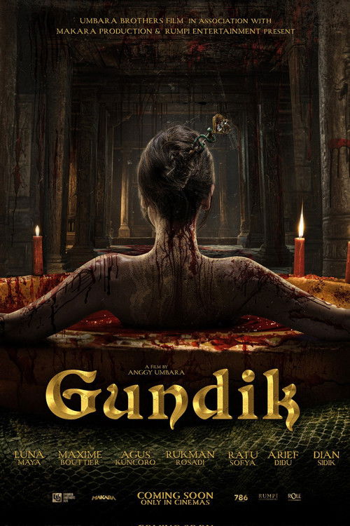 Gundik poster