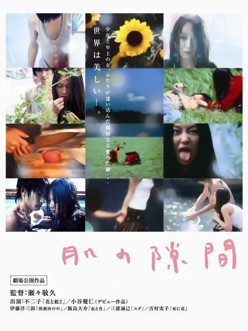 A Gap in the Skin poster