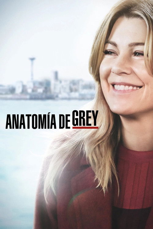 Póster de la temporada 15 de la serie Anatomía de Grey