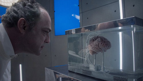 Insânia: 1×8