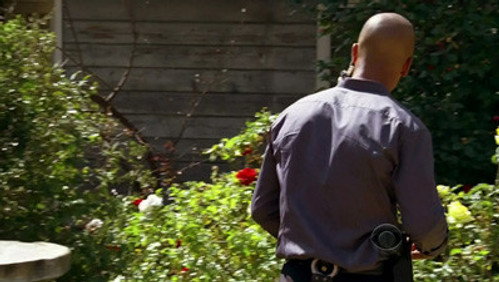 Mentes Criminosas: 4×24