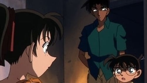 Detective Conan: 1×293