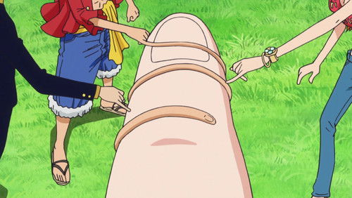 One Piece Dublado – Episódio 573