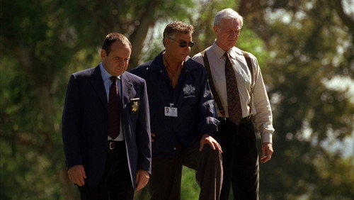 CSI: Investigação Criminal: 3×2