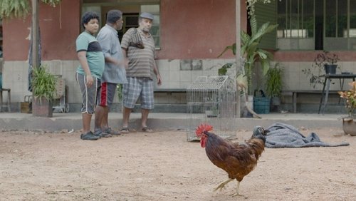 Pablo e Luisão: 1×5