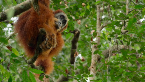 Os Parques Nacionais Mais Fascinantes do Mundo: 1×5