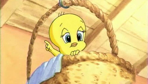 Baby Looney Tunes: 1×52