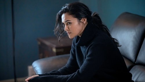 Law & Order: Crime Organizado: 5×6