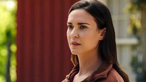 Walker: 4×12