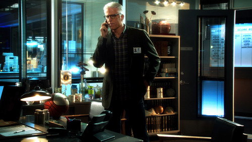 CSI: Investigação Criminal: 13×19