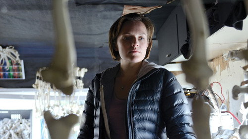 Top of the Lake: 1×4