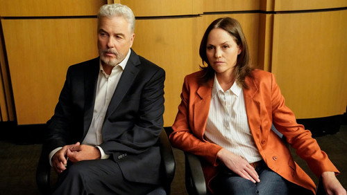 CSI: Vegas: 1×9