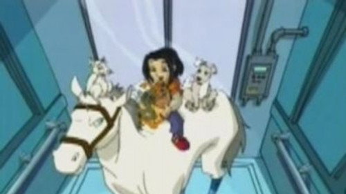As Aventuras de Jackie Chan: 3×14