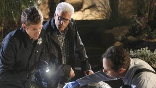 CSI: Investigação Criminal: 13×20