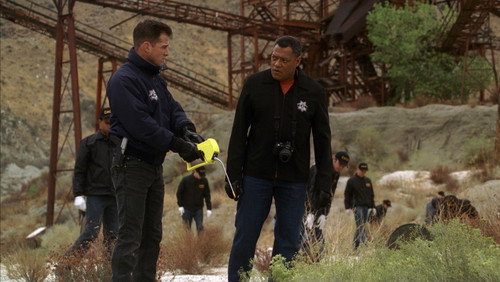 CSI: Investigação Criminal: 10×7