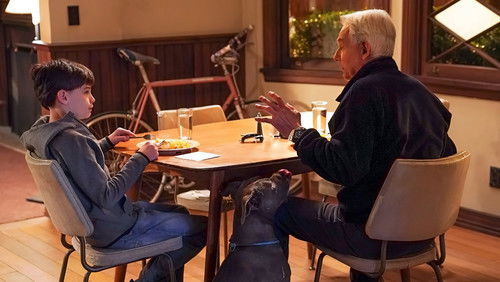 NCIS: Investigação Naval: 18×14