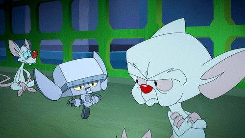 Animaniacs: 1×12