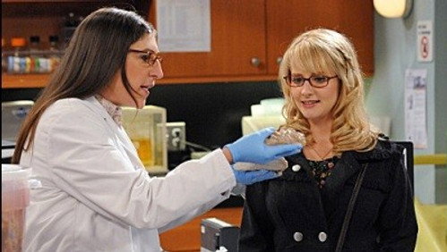 Big Bang: A Teoria: 5×8