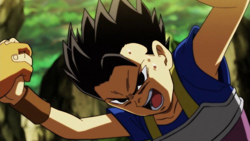 Dragon Ball Super: 1×112