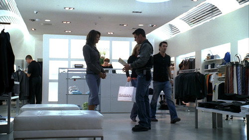 CSI: Investigação Criminal: 6×22