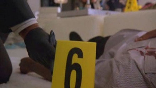 Divisão Criminal: 7×1