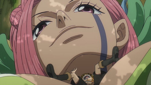 One Piece – Episódio 1164