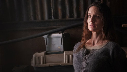 Colony: 3×5