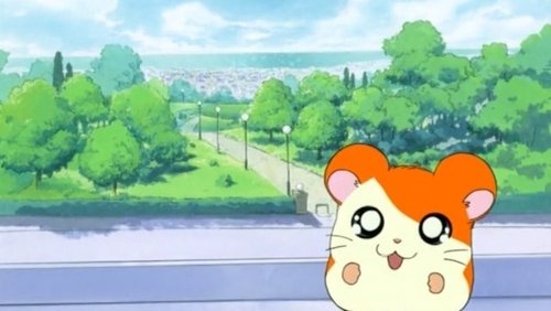 Hamtaro: 1×1