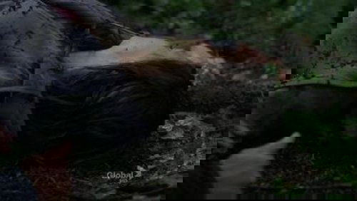 Harper’s Island: O Mistério da Ilha: 1×5