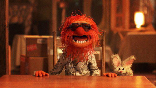 Muppets e o Caos Elétrico: 1×9