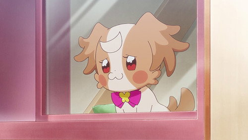 Wonderful Precure!: 1×1