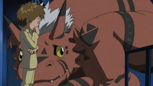 Digimon Tamers: 1×9