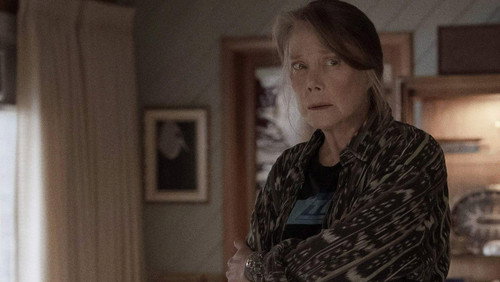 Homecoming: De Volta à Pátria: 1×7