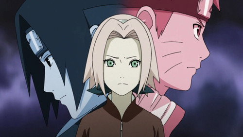 Naruto Shippuden: 20×442