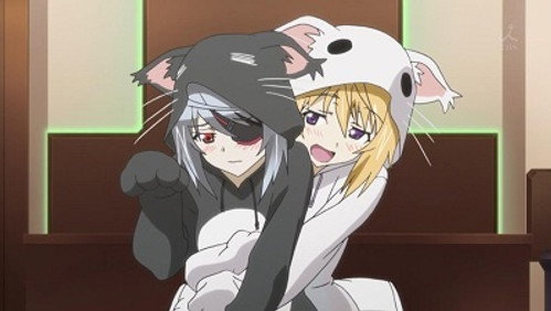 IS: Infinite Stratos: 2×1