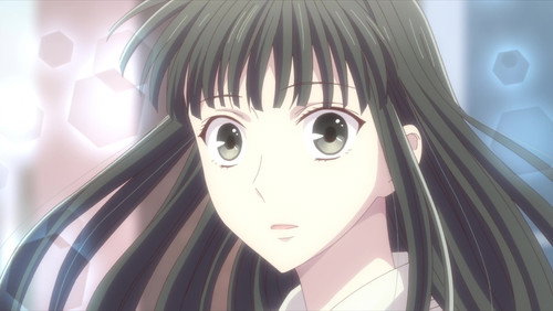 Fruits Basket: 2×24