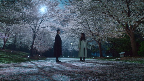 Amor Entre Linhas: 1×13