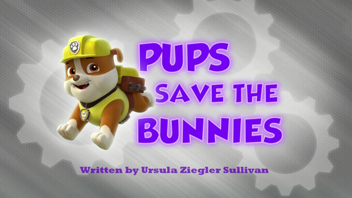 Patrulha Canina: 1×13