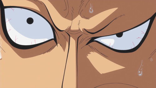 One Piece – Episódio 582