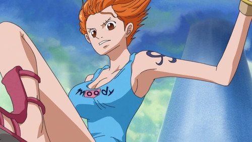 One Piece: 13×508