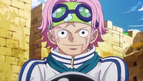 One Piece: 22×1113