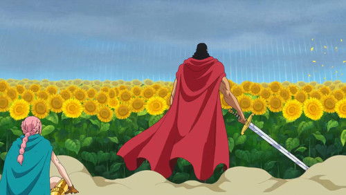 One Piece – Episódio 696
