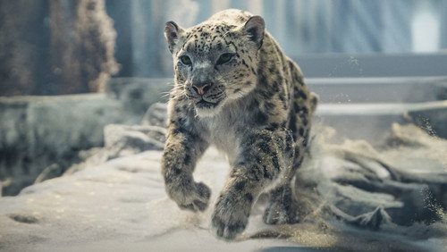 His Dark Materials: Fronteiras do Universo: 3×7