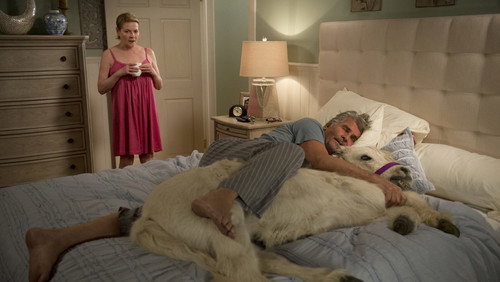 Life in Pieces: Uma Grande Família. Quatro Pequenas Histórias.: 1×18