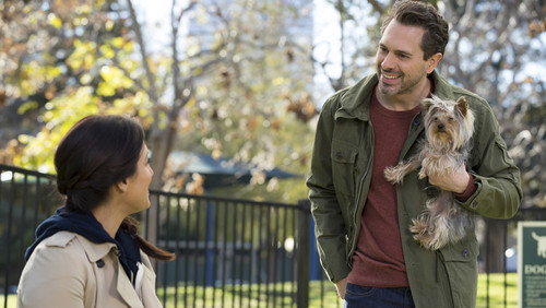 Life in Pieces: Uma Grande Família. Quatro Pequenas Histórias.: 1×20